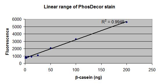 5 The PhosDecor staining procedure allows linear detection of phosphoproteins over a wide range (see Figure 4)