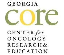Georgia s Best and Promising Practices In Quality