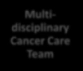 Don t Reinvent the Wheel Multidisciplinary Cancer Care Team Data