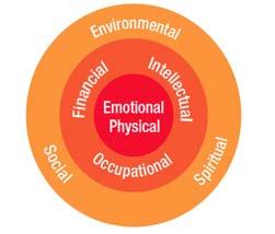 Eight Dimensions of Wellness Emotional Environmental Financial