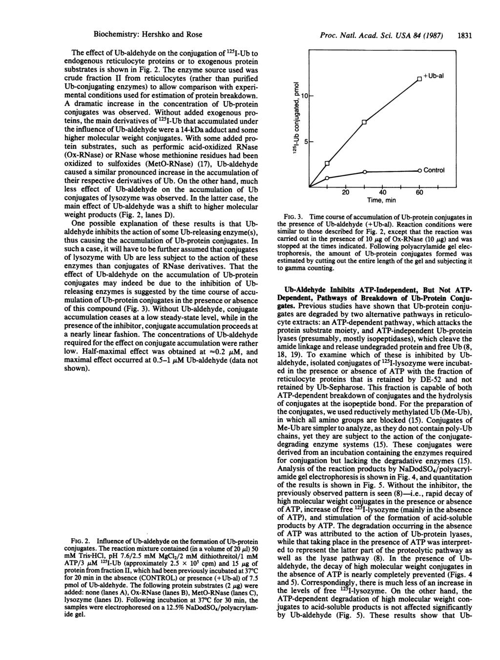 Biochemistry: Hershko and Rose The effect of Ub-aldehyde on the conjugation of 1251I-Ub to endogenous reticulocyte proteins or to exogenous protein substrates is shown in Fig. 2.