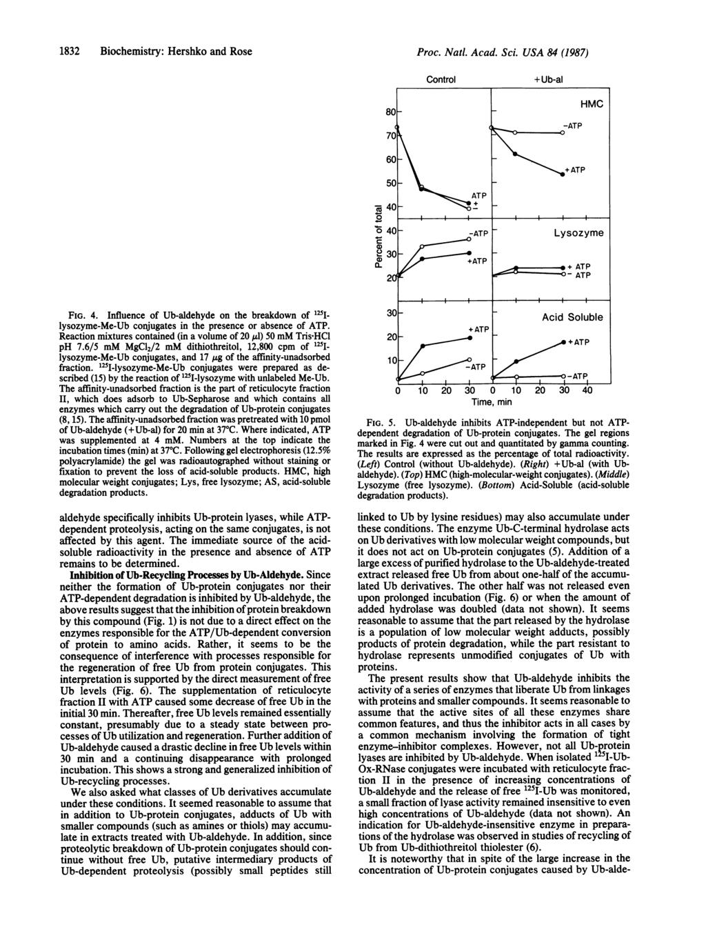 1832 Biochemistry: Hershko and Rose CONTROL +Ub-aI - ATP +ATP -ATP +ATP 11o 3lo 3-171O 31[1O- 3-1 1 t4,i ~~~~~~-.61I Origin Proc. Natl. Acad. Sci. USA 84 (1987) + Ub-al 4 a & HMC 4.