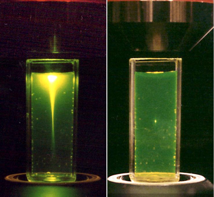 overall specimen photodamage and photobleaching Single photon