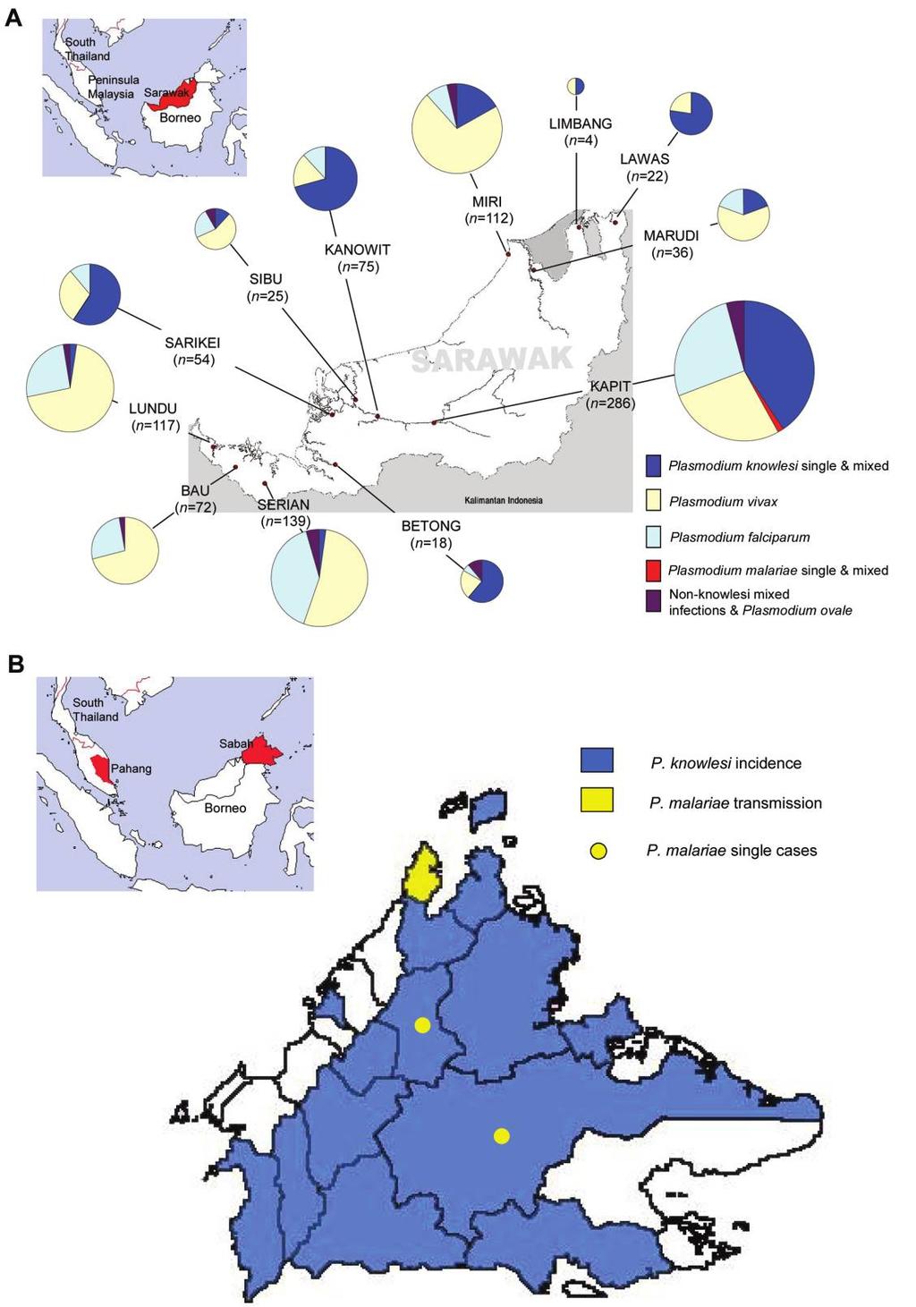 Figure 1. Distribution and prevalence of human knowlesi malaria in Malaysia. The inset maps of Southeast Asia show the position of Sarawak (A) and Sabah and Pahang (B).