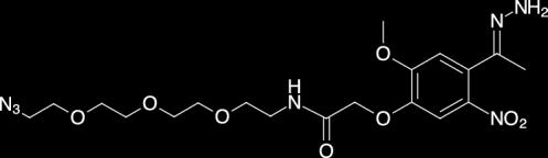 Compound 3 (4) N-(2-{2-[2-(2-Azido-ethoxy)-ethoxy]-ethoxy}-ethyl)-2-[4-(1-hydrazono-ethyl)-2- methoxy-5-nitro-phenoxy]-acetamide Compound 3 (29.8 mg, 63 μmol) was dissolved in 2.