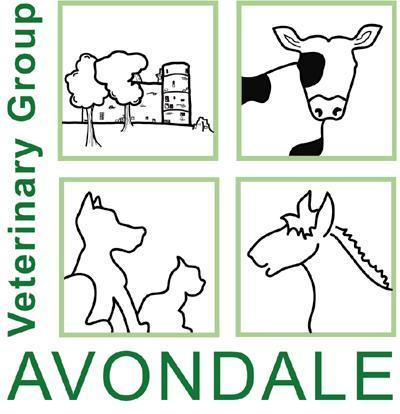 Avondale Veterinary Group Avondale House Strathaven Rural Centre Strathaven Lanarkshire ML10 6SY Tel: 01357 520251 Cushing s Disease Equine Cushing s Disease (ECD), also known as Pars Pituitary