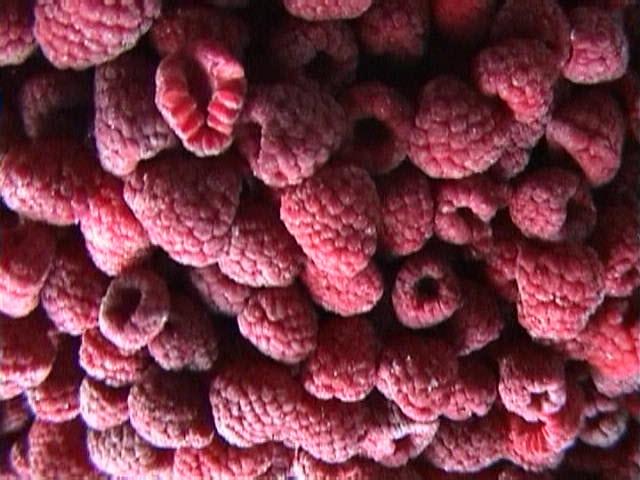 st February 206 Foodnet Ltd Page 3 of 0 Major Blemish This includes raspberries that are blemished to the extent that the area affected is greater than 6mm in diameter, either as a single blemish or
