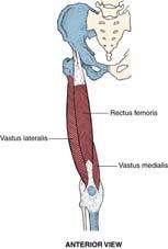 ilium between the anterior and inferior gluteal lines O: anterior iliac crest,