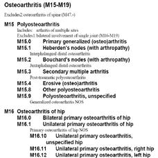 Slide 16 ICD-10 Structure Tabular Structure Level 2 (Blocks) 13.1 Infectious arthropathies 13.2 Inflammatory polyarthropathies 13.3 Osteoarthritis 13.4 Other joint disorders 13.