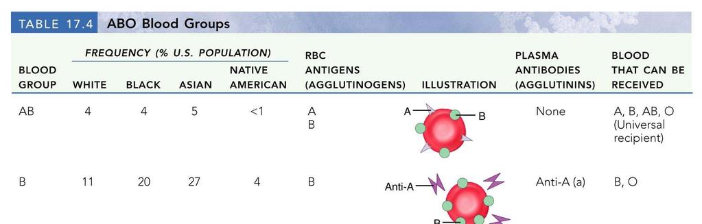 ABO Blood Groups The ABO blood groups consists of: Two antigens (A and B) on the surface of the RBCs Two antibodies in the plasma (anti-a and anti-b) ABO blood groups may have various types of