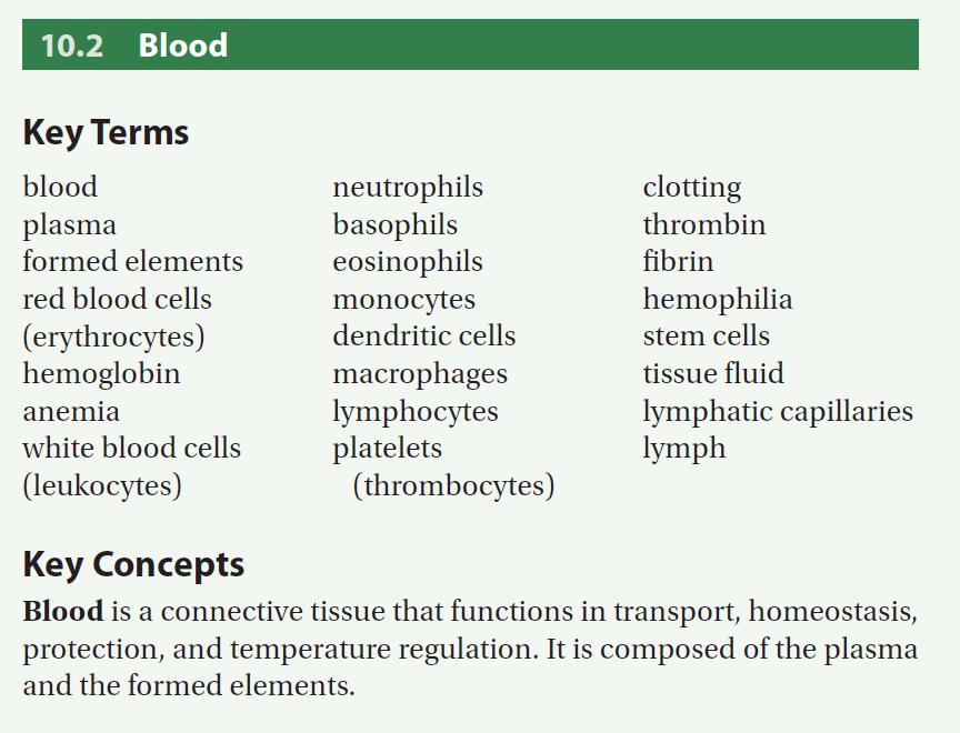 33 Check Your Progress 1. List the major components of blood, along with their functions. 2.