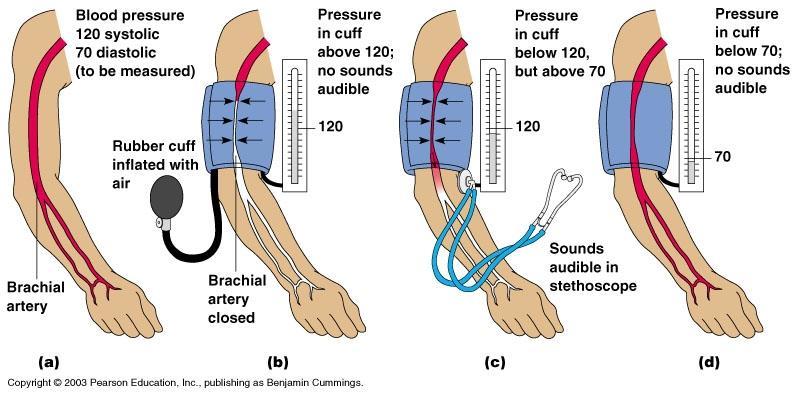 Blood Pressure (mm Hg) Blood Pressure
