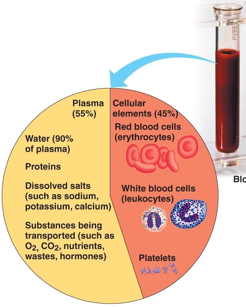 Blood Cellular elements ~ 45% of