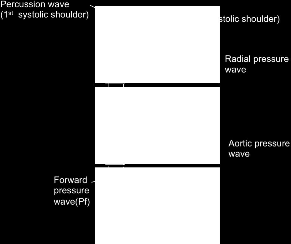 Figure 1.2. The contribution of aortic forward and aortic backward waves to aortic and radial (approximate of brachial) pulse waves.