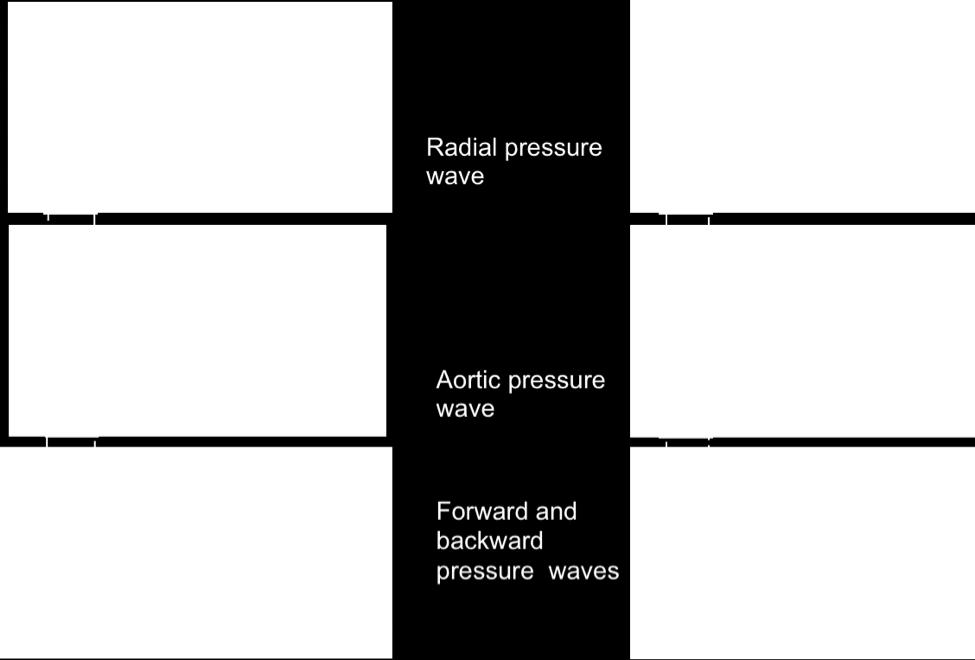 The figure shows changes in the combined effect of the aortic forward and aortic backward waves on pressure waveforms with