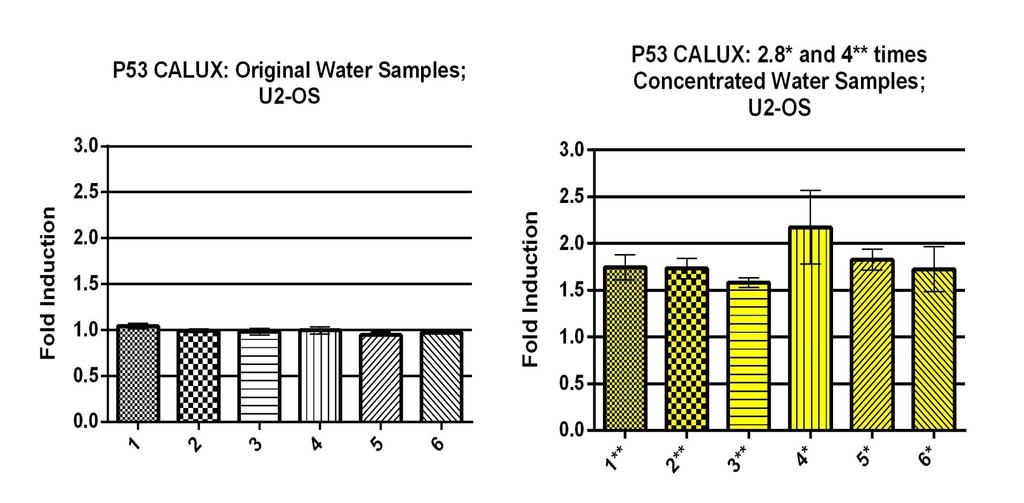Results: p53 Calux Significant genotoxic effects were detected