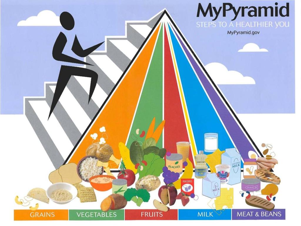 Anatomy of My Pyramid One Size Doesn t Fit All Activity