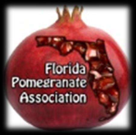 Acknowledgement UF Pomegranate Team Dr.