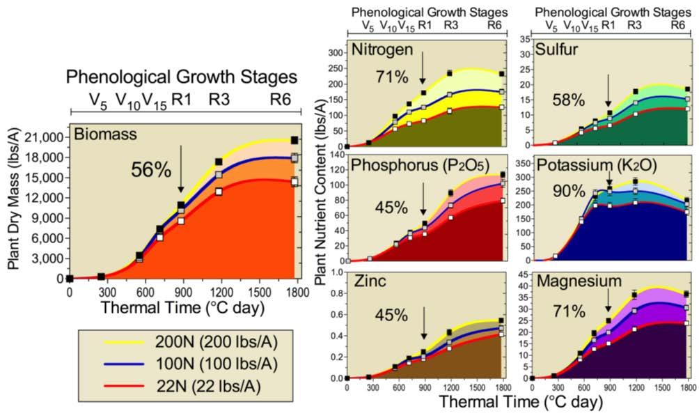 Nutrient uptake patterns over time 200 bu/acre 2 hybrids, 4