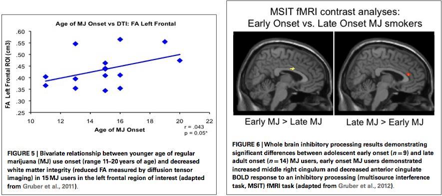 The Impacts of adolescent marijuana use onset on cognition, brain structure, and function Lisdahl et al.