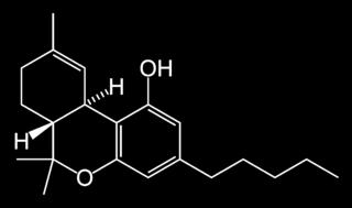 anadamide (from arachidonic acid) Delta 9-THC is converted rapidly to 11-hydroxy THC which is also active and outlasts measurable THC Pertwee, R