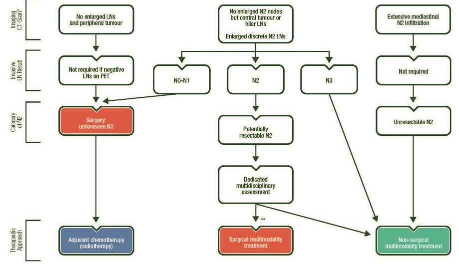 Treatment algorithm stage IIIA ACCP, American College of Chest Physicians; CT, computed