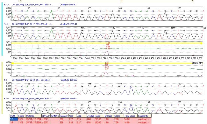 biopsy Single section of large tumour Sanger sequencing of PCR products EGFR mutation Not all samples are