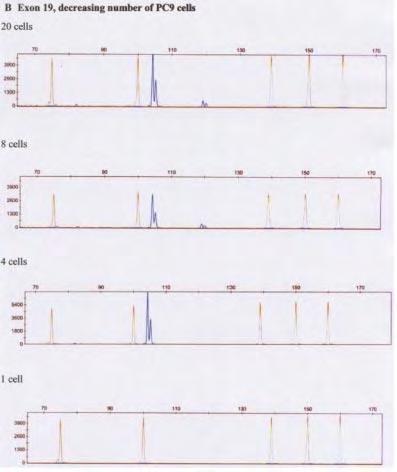 determination of EGFR status by length analysis of