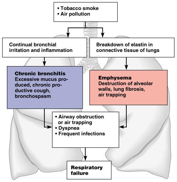 Chronic Obstructive Pulmonary Disease (COPD) Copyright 2003 Pearson