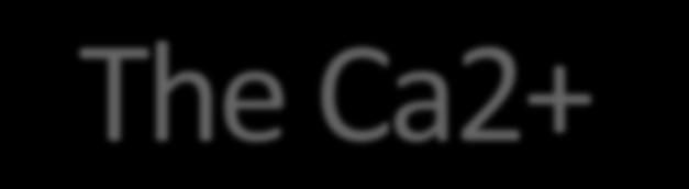 The Ca2+-calmodulin