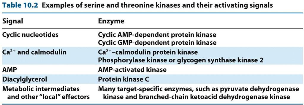 KINASES AND PHOSPHATASES Tyrosine kinases Play pivotal roles in growth regulation