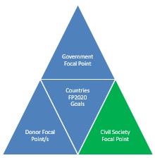 CSO FOCAL POINTS IDENTIFIED IN NEARLY ALL COMMITMENT-MAKING COUNTRIES Expanded FP2020 focal point structure in 2017 to include a Civil Society Focal Point Have identified one active CSO per