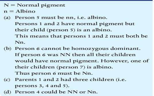 - 44 are autosomes - 2 are sex chromosomes - Autosomes control all non-gender related features and traits.