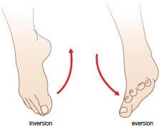 Joint actions Joint action example Description Inversion Inversion is the rotation of the foot so that