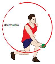 Joint actions Joint action example Description Circumduction is the combination of other movements that results in a