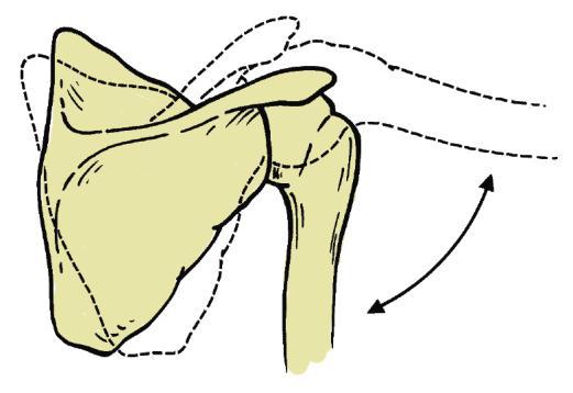 Movements that involve rotation about an anteroposterior axis occur in