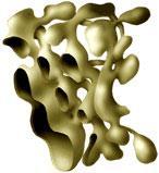 Smooth ER - lack ribosomes, membrane is continuous w/rough ER - serves as a transition area