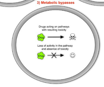 reduced development of byproduct of target pathway