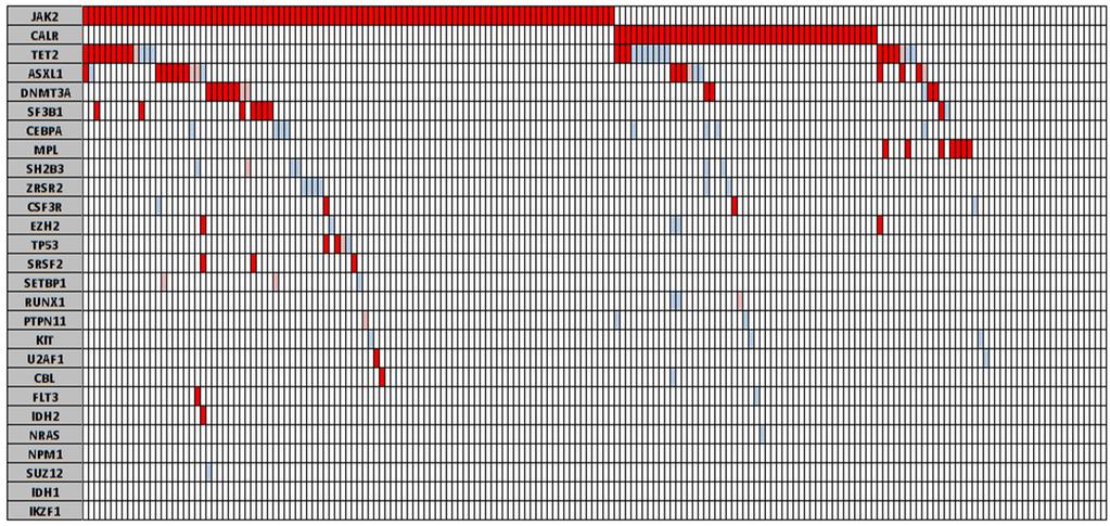 Targeted deep sequencing in 183 patients with essential thrombocythemia RED: Sequence variants previously associated with a hematologic malignancy and shown to be somatic PINK: Sequence