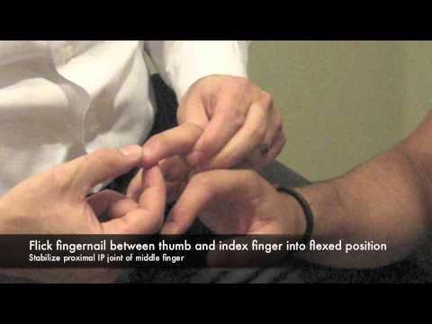reflex flexion of patient s thumb Pathological Reflexes : 1- Supraspinatus