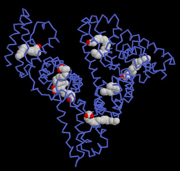 Polymerase