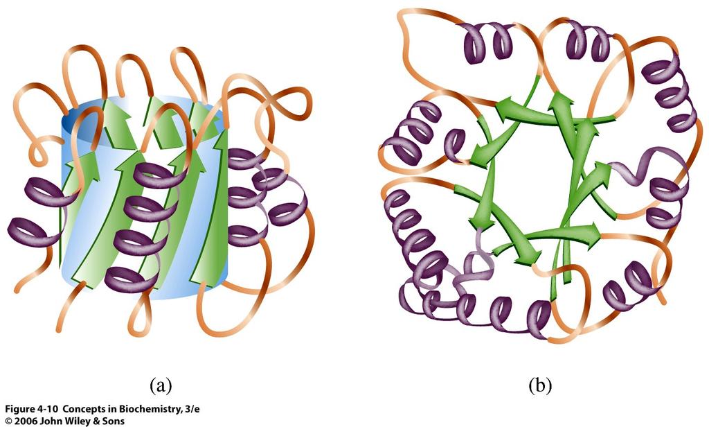 A protein domain is a part of protein sequence and structure that can