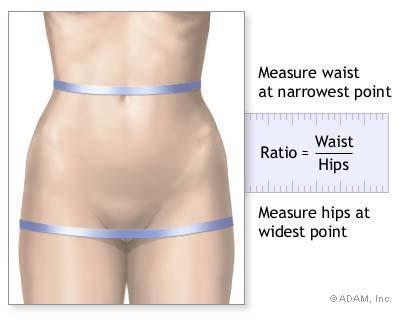 Waist to Hip ratio (WHR) Man normal