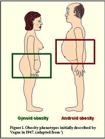 Android versus Gynoid fat distribution has