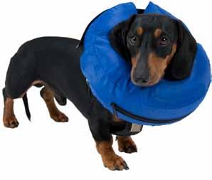 NEW BUSTER Inflatable Collar, Nylon Scratch resistant Durable for long-term use Washable Reusable Rentable Reduced stress when