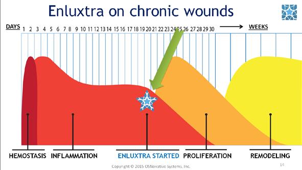 When Enluxtra is applied to a wound it treats all the different areas simultaneously, thereby ending the inflammatory stage and restarting the healing process. #15.
