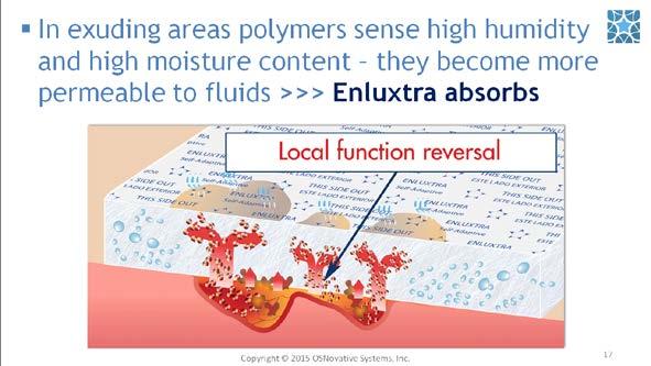 #17. Polymers actively remove barriers to healing. Enluxtra is structurally designed to work in sync with the ever-changing wound microenvironment.