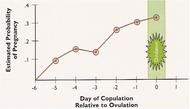 Probability of conception when copulation occurred on specific days relative to ovulation in women Spermatozoa in female tract SPECIES FERTILE LIFE (days) Bitch 9-11 Cow