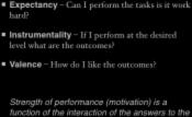 Beliefs about Outcomes: Expectancy Theory (Vroom, 1960) What motivates people to work?