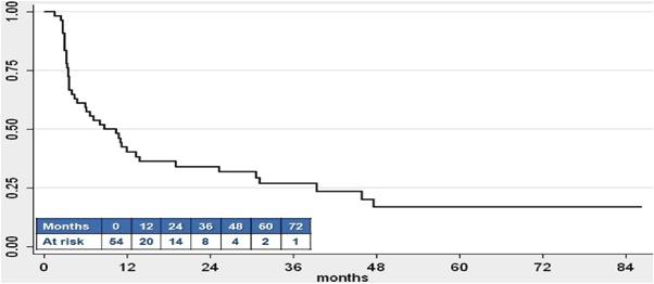 Docetaxel 54 patients All failed prior BCG 22 had only one prior course 83% high grade, 53% with CIS